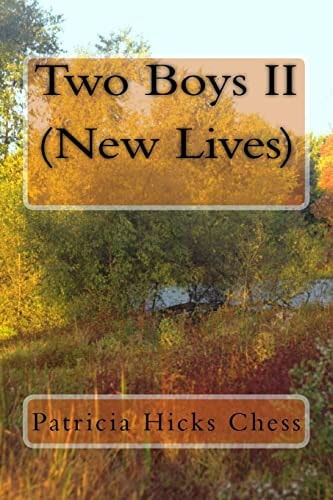 Two Boys II New Lives