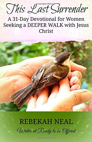 This Last Surrender A 31-Day Devotional for Women Seeking a Deeper Walk with Jesus