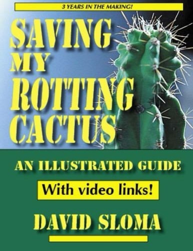 Saving My Rotting Cactus