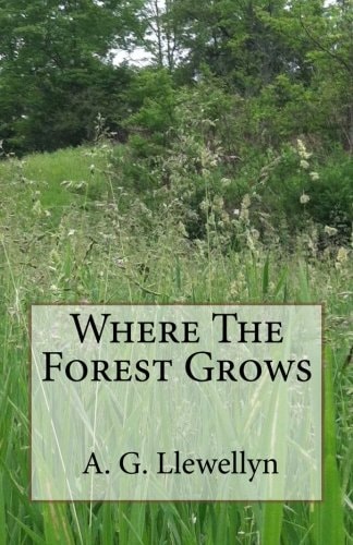Where The Forest Grows