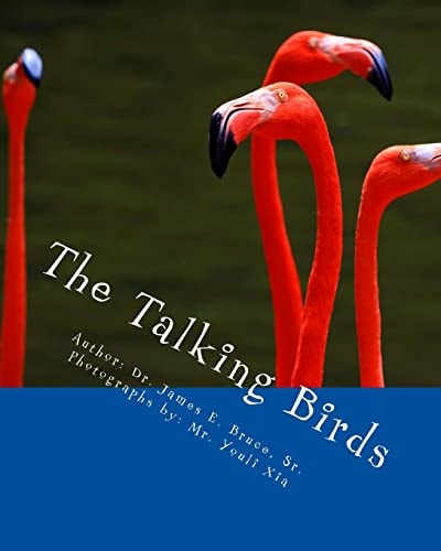 The Talking Birds The Birds That Don't Build Nests; They Build Character