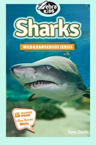 Sharks Amazing Pictures and Fun Facts