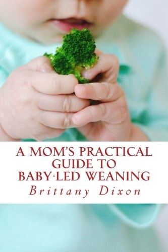 A Mom's Practical Guide to Baby-Led Weaning