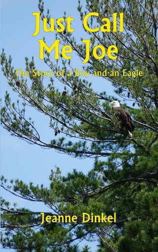 Just Call Me Joe The Story of a Boy and an Eagle