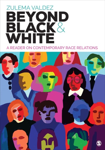 Beyond Black and White A Reader on Contemporary Race Relations