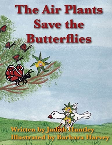 The Air Plants Save The Butterflies