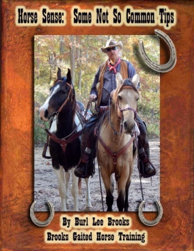 Horse Sense Some Not So Common Tips