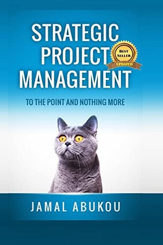 Strategic Project Management To the Point and Nothing More