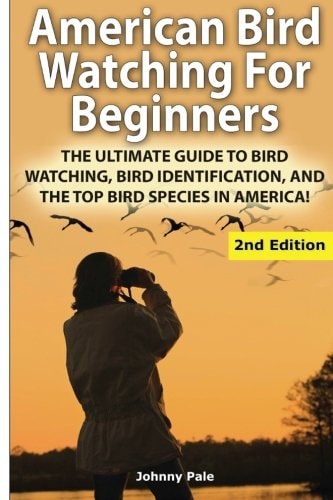 American Bird Watching for Beginners The Ultimate Guide to Bird Watching, Bird Identification, and the Top Bird Species in America