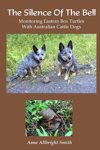 The Silence of the Bell Monitoring Eastern Box Turtles with Australian Cattle Dogs