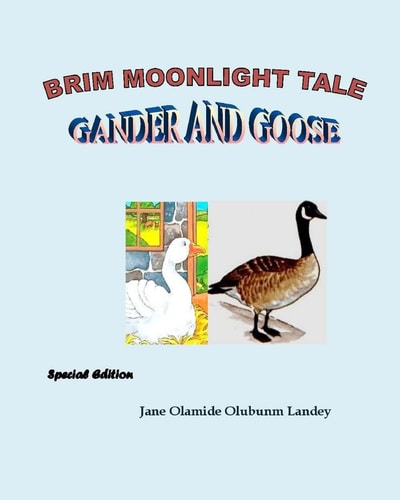 Gander and Goose Brim Moonlight Tale