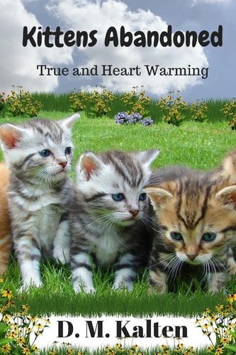 Kittens Abandoned a Heart Warming Story