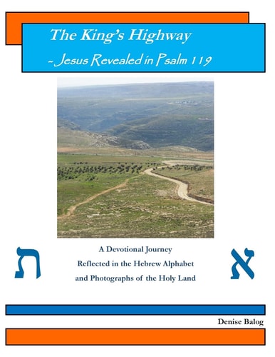 The King's Highway - Jesus Revealed in Psalm 119