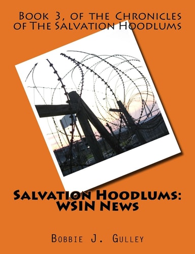 Salvation Hoodlums WSIN News
