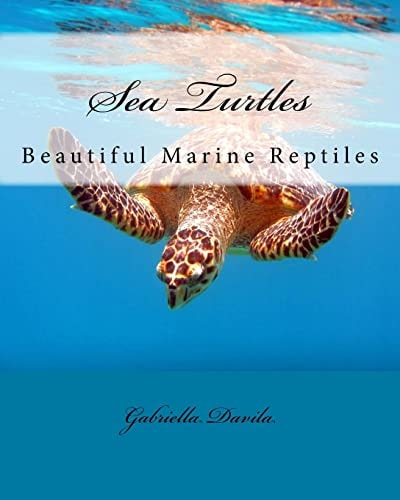 Sea Turtles Beautiful Marine Repitles