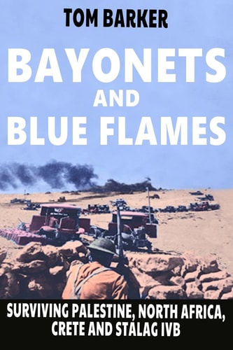 Bayonets and Blue Flames Surviving Palestine, North Africa, Crete and Stalag IVB