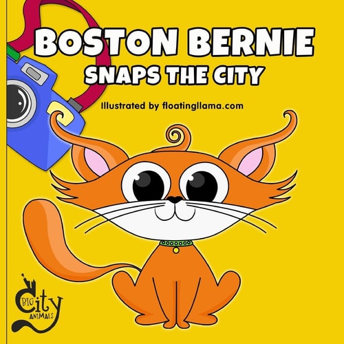 Boston Bernie Snaps the City Join Bernie the Cat As He Explores Boston and Takes the Best Photos!