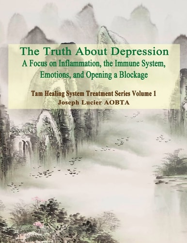 The Truth About Depression Return to Balance - Focus on Inflammation, the Immune System and Opening a Blockage