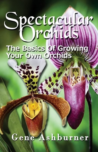 Spectacular Orchids The Basics Of Growing Your Own Orchids