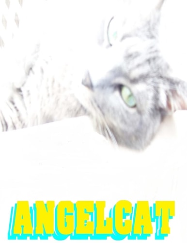 Angel Cat Anime Manga Comic Book Ghost Soul Angel Heaven War Battle Good Vs Evil Teenager Cat
