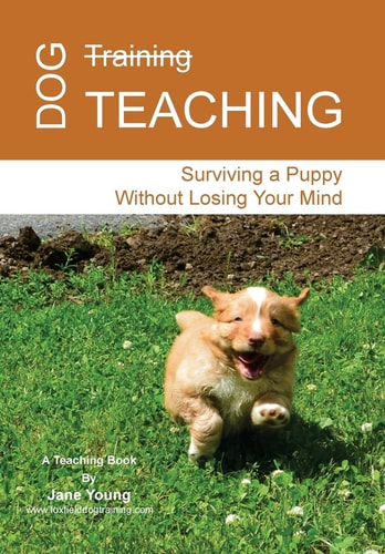 Dog Teaching Surviving a Puppy Without Losing Your Mind