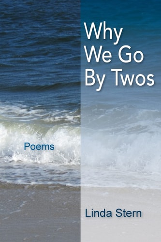Why We Go by Twos Poems