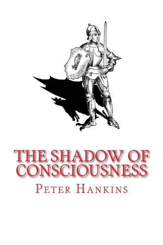 The Shadow of Consciousness A Little Less Wrong