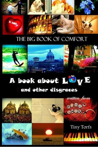 The Big Book of Comfort A Book about LOVE and Other Disgraces