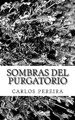 Sombras Del Purgatorio El Breve Paso Por El Punto Neutro Entre El Bien Y El Mal
