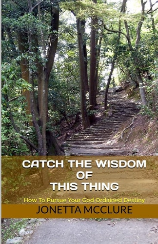 Catch The Wisdom of This Thing How to Pursue Your God Ordained Destiny