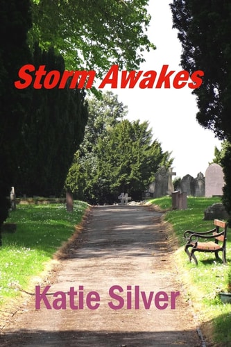 Storm Awakes Storms Trilogy Book 1
