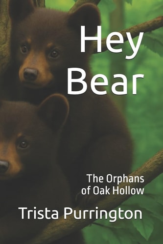 Hey Bear The Orphans of Oak Hollow