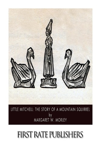 Little Mitchell The Story of a Mountain Squirrel
