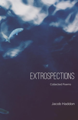 Extrospections