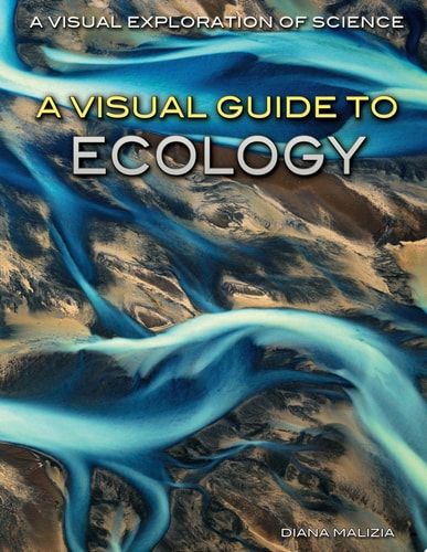 A Visual Guide to Ecology