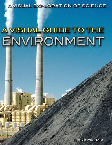 A Visual Guide to the Environment