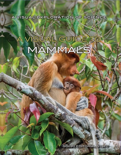 A Visual Guide to Mammals