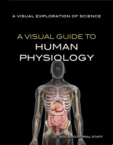 A Visual Guide to Human Physiology