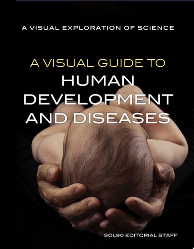 A Visual Guide to Human Development and Diseases