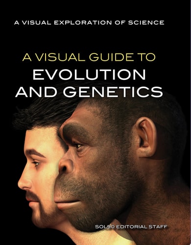 A Visual Guide to Evolution and Genetics