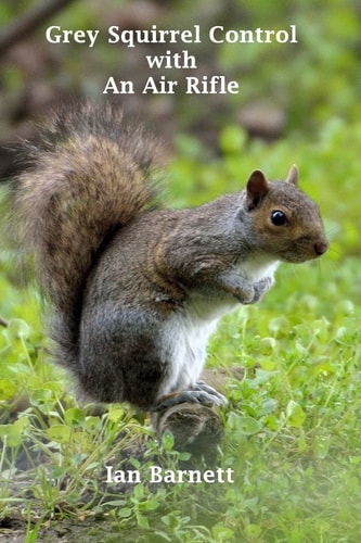 Grey Squirrel Control With An Air Rifle