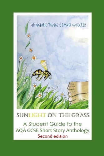 'Sunlight on the Grass': a Student Guide to the AQA GCSE Short Story Anthology Large Print Edition