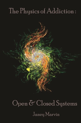 The Physics of Addiction Open and Closed Systems