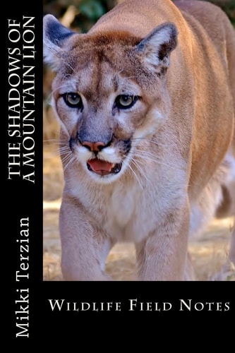 The Shadows of a Mountain Lion