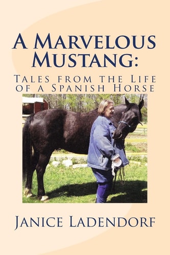 A Marvelous Mustang : Tales from the Life of a Spanish Horse