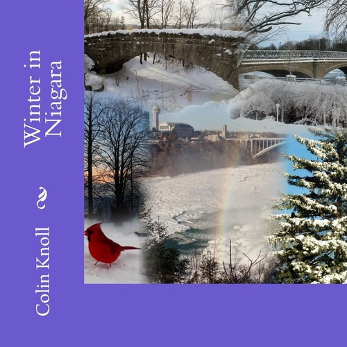 Winter in Niagara