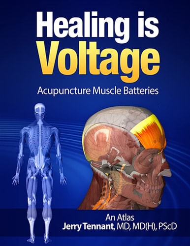 Healing is Voltage Acupuncture Muscle Batteries