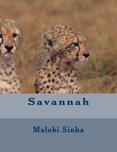 Savannah