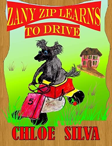 Zany Zip Learns to Drive