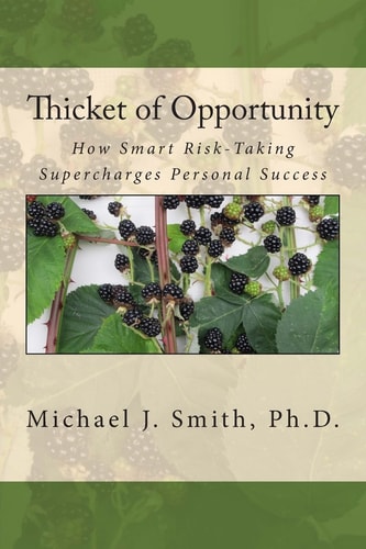 Thicket of Opportunity How Smart Risk-Taking Supercharges Personal Success